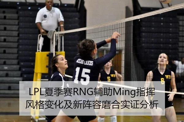 LPL夏季赛RNG辅助Ming指挥风格变化及新阵容磨合实证分析